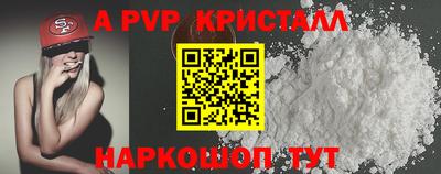 дмт Гай