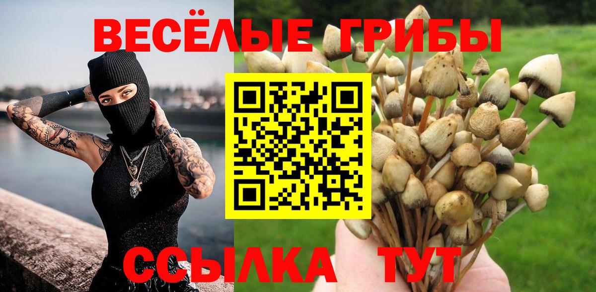 Галлюциногенные грибы Psilocybine cubensis Заречный