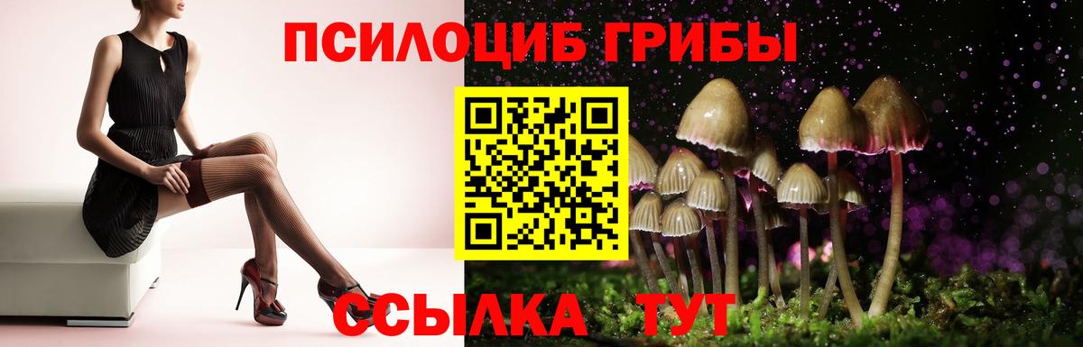 Заречный  Галлюциногенные грибы GOLDEN TEACHER  Вход с VPN 